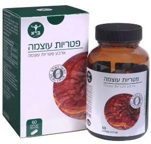 פטריות עוצמה ברא  צמחים